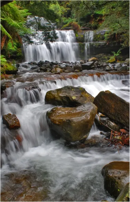 Framed Print : Liffey Falls, a beautiful and scenic area in northern Tasmania, which is protected rainforest and part of the world heritage forests Framed Print : Liffey Falls, a beautiful and scenic area in northern Tasmania, which is protected rainforest and part of the world heritage forests