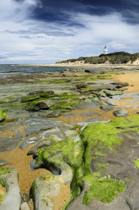 Framed Print : Lighthouse at Waipapa Point with clouds in the sky, algae covered rocks at the front, Otara, Fortrose, Southland Region, South Island, New Zealand