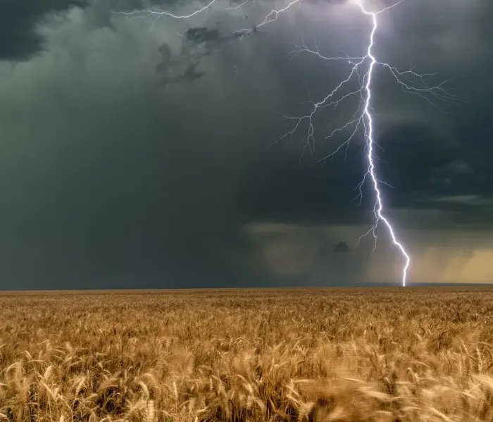 Framed Print : Lightning Bolt with a Hail Core and wheat crops, Colorado, USA Framed Print : Lightning Bolt with a Hail Core and wheat crops, Colorado, USA