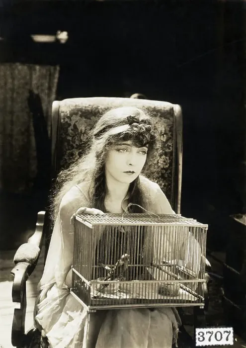 Framed Print : Lillian Gish Holding Birdcage Framed Print : Lillian Gish Holding Birdcage