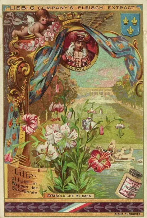 Framed Print : Lily, Louis XIV, France, coat of arms of the Bourbons, digitally restored reproduction of a public domain collector's picture from ca 1900, Liebig picture series Symbolic Flowers (1893) Framed Print : Lily, Louis XIV, France, coat of arms of the Bourbons, digitally restored reproduction of a public domain collector's picture from ca 1900, Liebig picture series Symbolic Flowers (1893)