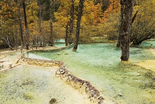 Lime terraces with lake in autumnal environment, Huanglong National Park, Sichuan Province, China