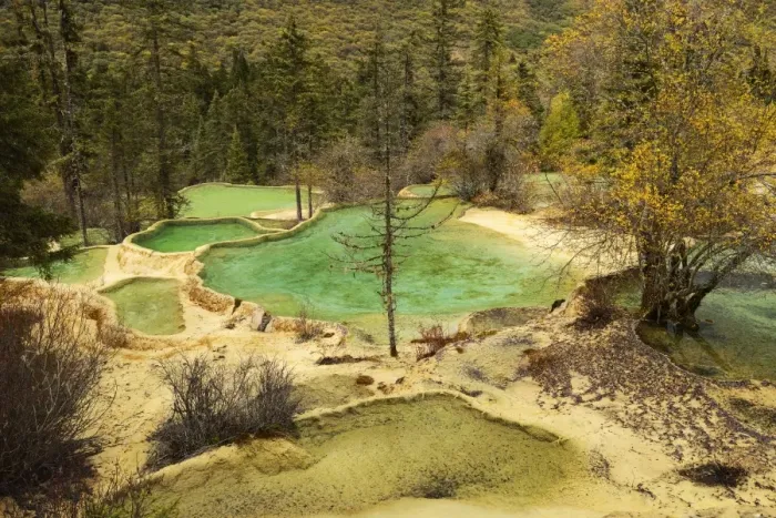 Framed Print : Lime terraces with lakes in autumnal environment, Huanglong National Park, Sichuan Province, China Framed Print : Lime terraces with lakes in autumnal environment, Huanglong National Park, Sichuan Province, China