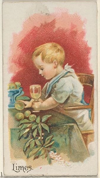 Limes Trade Card 1891