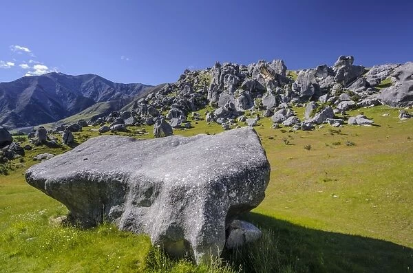 Limestone rock formations on Castle Hill, South Island, New Zealand, Oceania