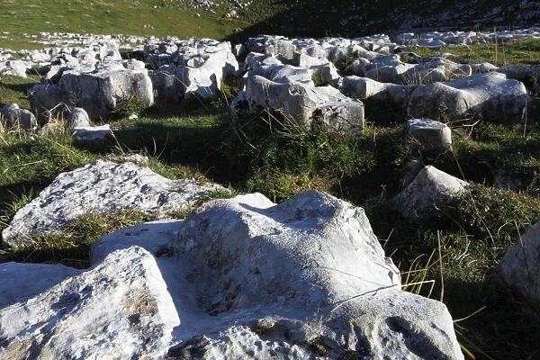 Limestones in the Schrattenkalk with dolina behind it, Creux du Van, Boudry, Canton NeuchAzAtel, Switzerland, Europe