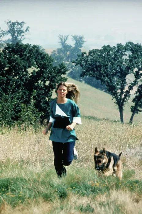 : Lindsay Wagner in The Bionic Woman : Lindsay Wagner in The Bionic Woman