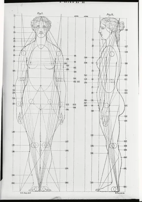 Framed Print : Line Drawing of the Female Figure Framed Print : Line Drawing of the Female Figure