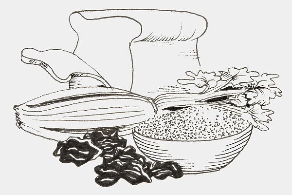 Line drawing of foods that provide fiber including bread, corn, cereal