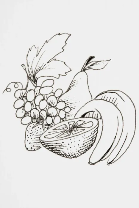 Framed Print : Line drawing of fruit including bananas, pear and grapes