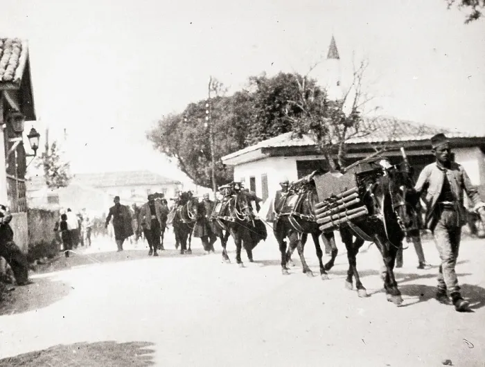 Framed Print : Line of Italian Soldiers Leading Horses Framed Print : Line of Italian Soldiers Leading Horses