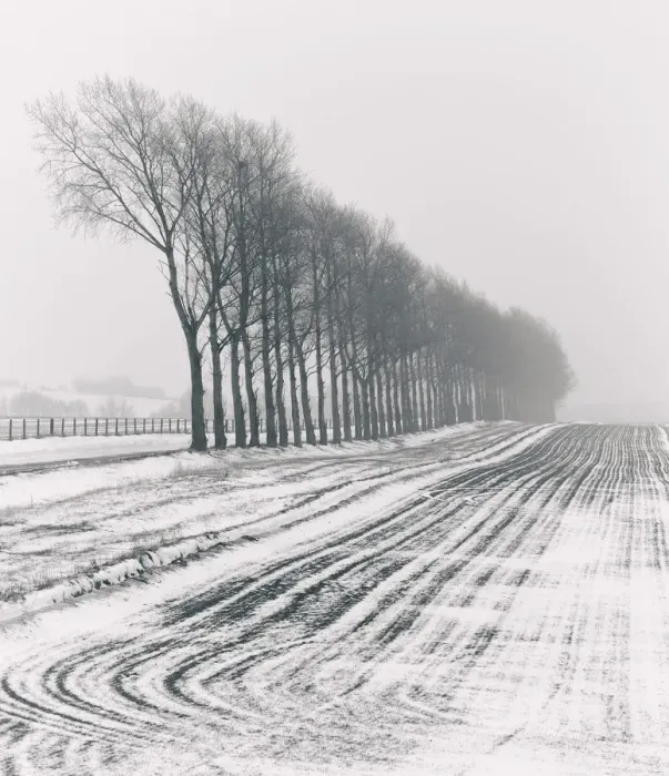 Framed Print : Lines in Snow I