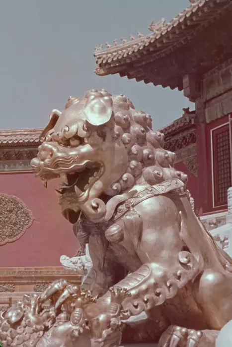 Framed Print : Lion Guardian Framed Print : Lion Guardian