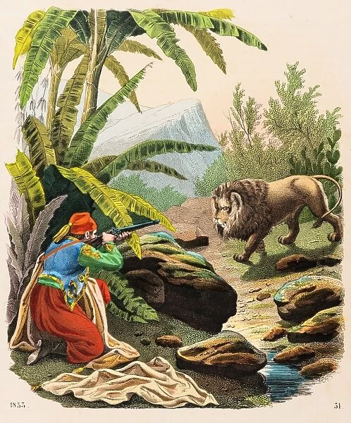 Lion hunt engraving 1853