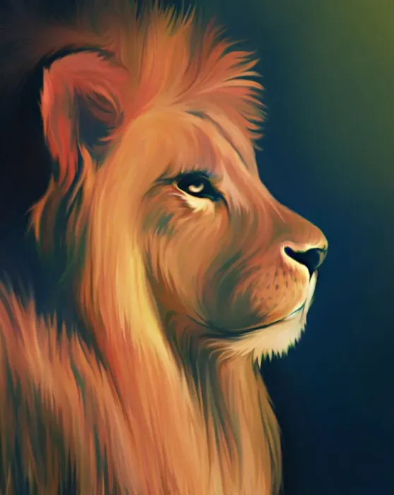 Framed Print : Lion illustration