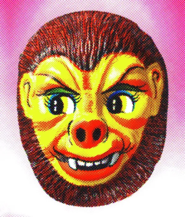 Framed Print : Lion Mask