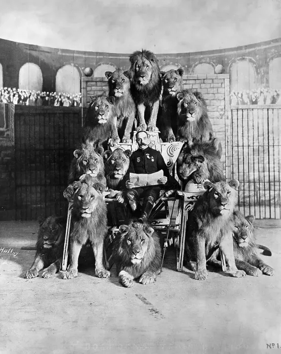 Framed Print : Lion Tamer Surrounded By His Lions Framed Print : Lion Tamer Surrounded By His Lions