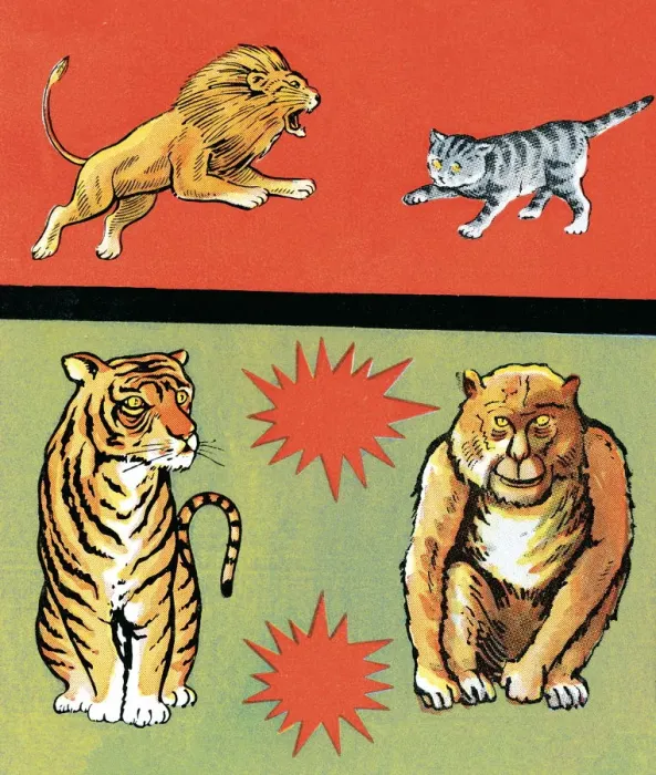 Framed Print : Lion, Tiger, Cat Framed Print : Lion, Tiger, Cat