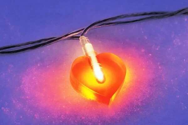 Lit heart-shaped fairy lights in the snow