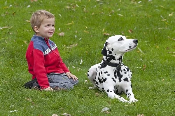 Little boy with Dalmatian