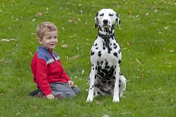 Little boy with Dalmatian