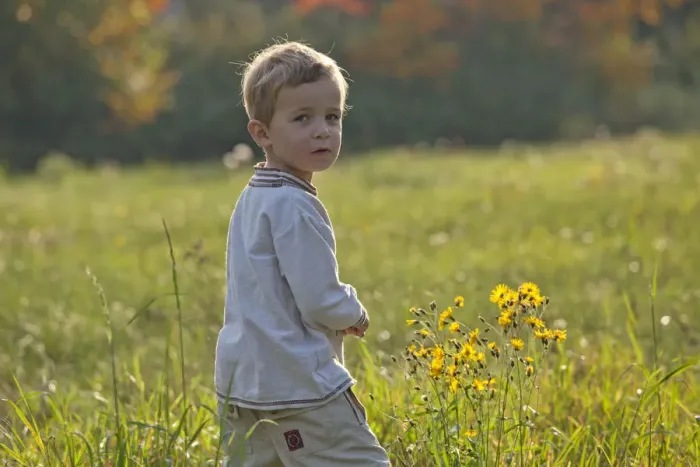 Framed Print : Little boy in a meadow Framed Print : Little boy in a meadow