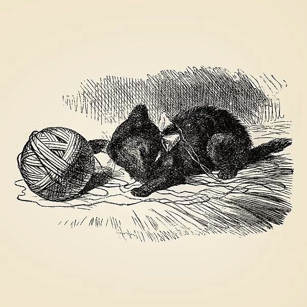 The little cat playing with yarn 1899