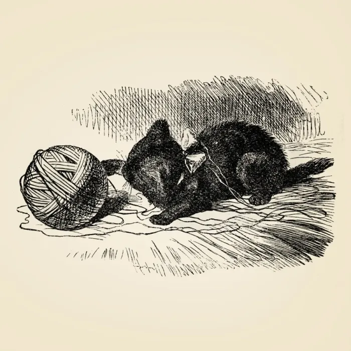 Framed Print : The little cat playing with yarn 1899 Framed Print : The little cat playing with yarn 1899
