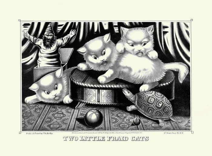 Framed Print : Two little fraid cats Framed Print : Two little fraid cats