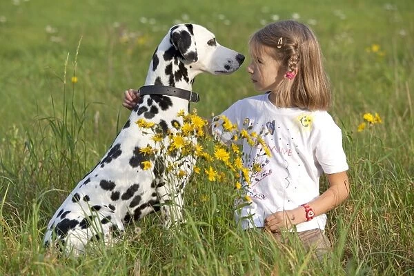 Little girl with Dalmatian in a meadow