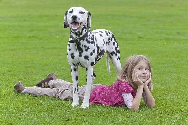 Little girl lying under a Dalmatian