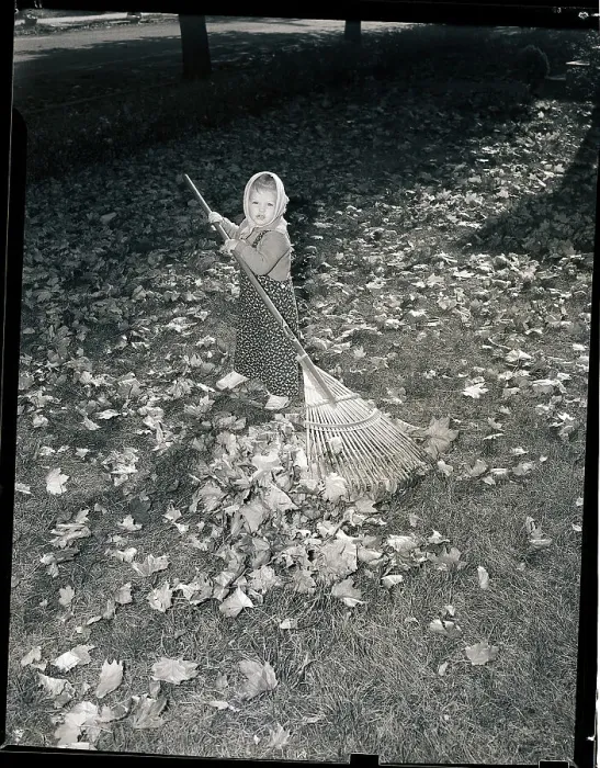 Framed Print : Little Girl Raking Leaves Framed Print : Little Girl Raking Leaves