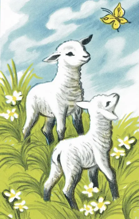 Framed Print : Two Little Lambs Framed Print : Two Little Lambs