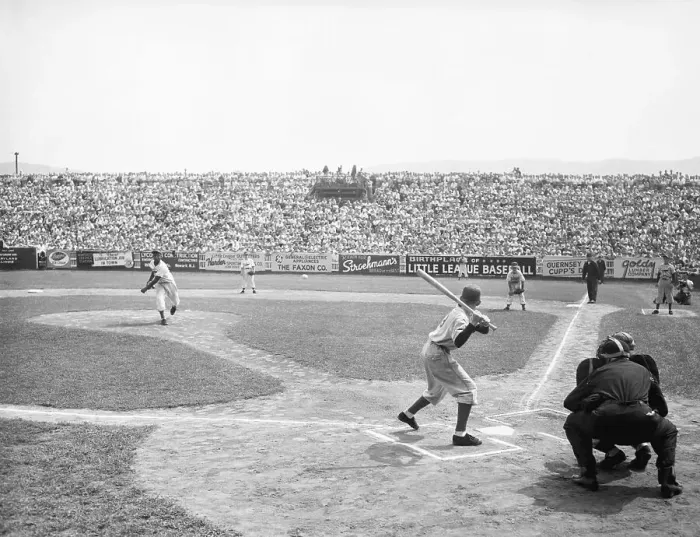 Framed Print : Little League Baseball Action Framed Print : Little League Baseball Action
