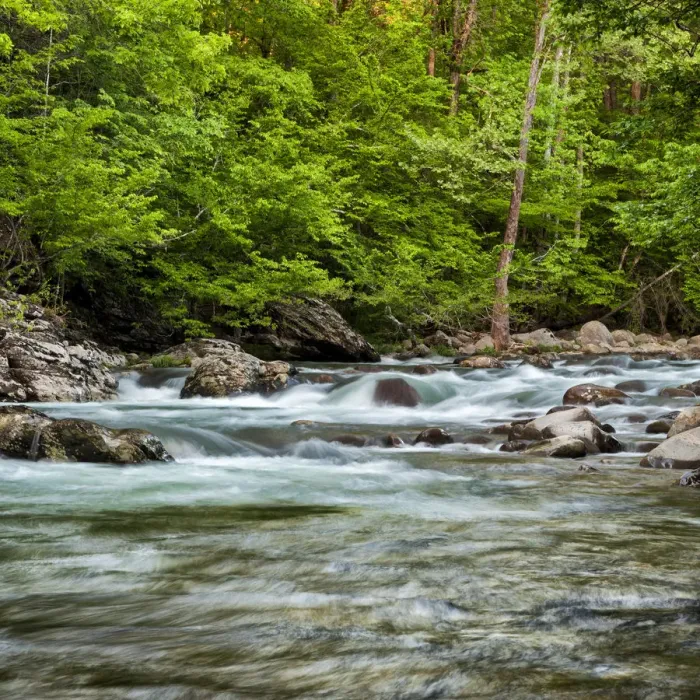 Framed Print : Little Pigeon River at Greenbrier, Great Smoky Mountains National Park, Tennessee, USA Framed Print : Little Pigeon River at Greenbrier, Great Smoky Mountains National Park, Tennessee, USA
