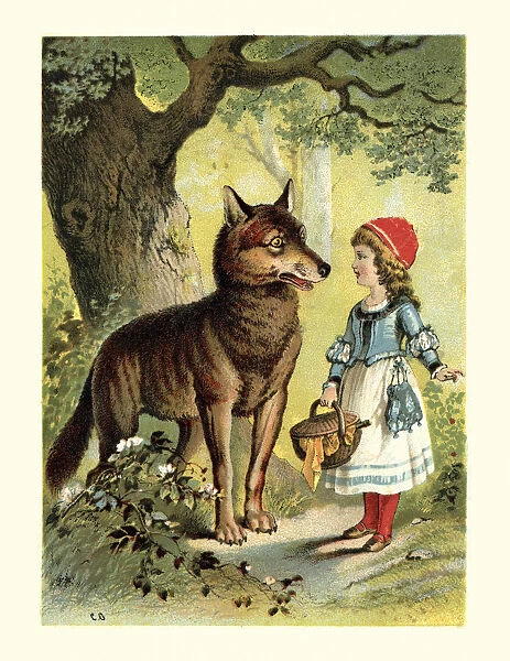 Little Red Riding Hood And The Wolf Print Cards
