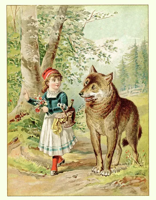 Framed Print : Little Red Riding Hood and the Wolf Framed Print : Little Red Riding Hood and the Wolf