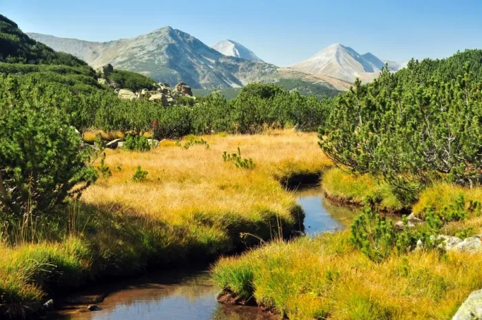 Framed Print : Little stream in Pirin mountain, Bulgria Framed Print : Little stream in Pirin mountain, Bulgria