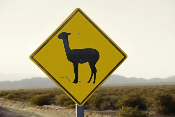 Framed Print : llama crossing road sign Framed Print : llama crossing road sign