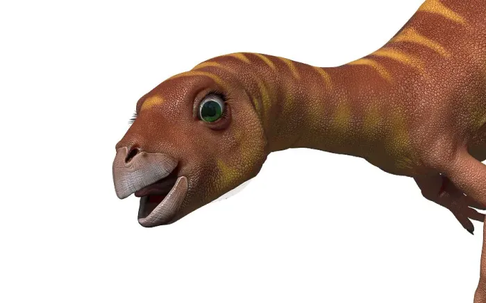Framed Print : lleannynasaura Framed Print : lleannynasaura