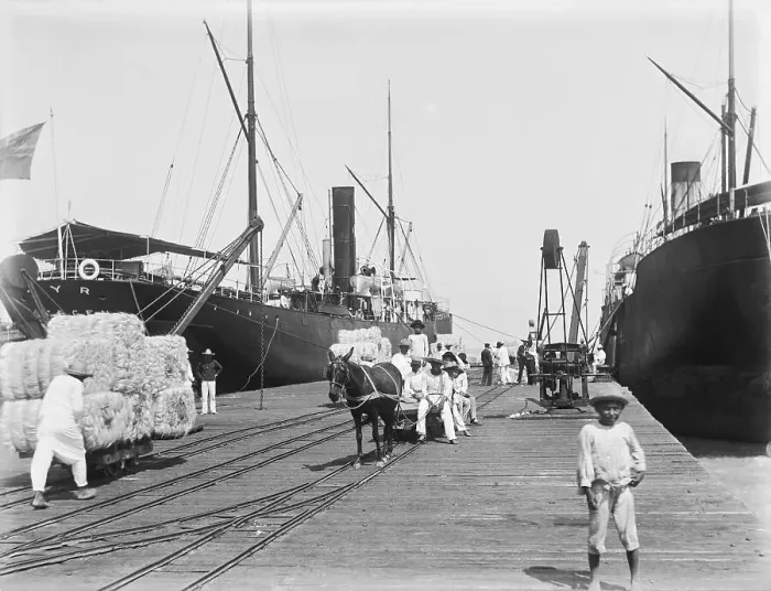 Framed Print : Loading Hemp in Mexico Framed Print : Loading Hemp in Mexico