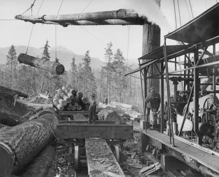Framed Print : Loading Lumber Framed Print : Loading Lumber