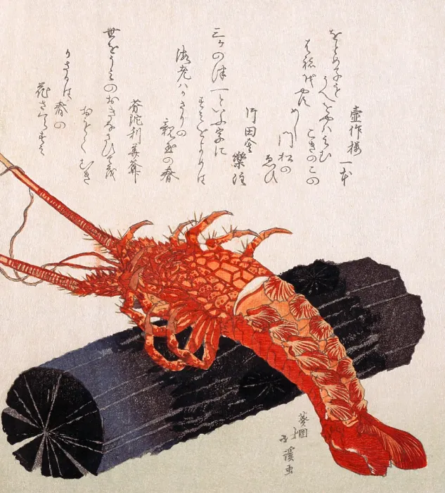 Framed Print : Lobster on a log Framed Print : Lobster on a log