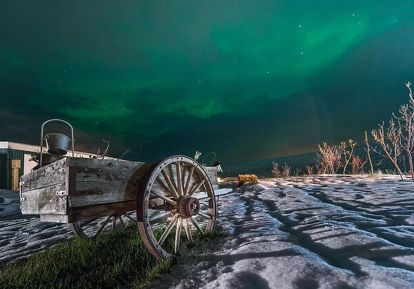 An local cart on snow with beautiful aurora