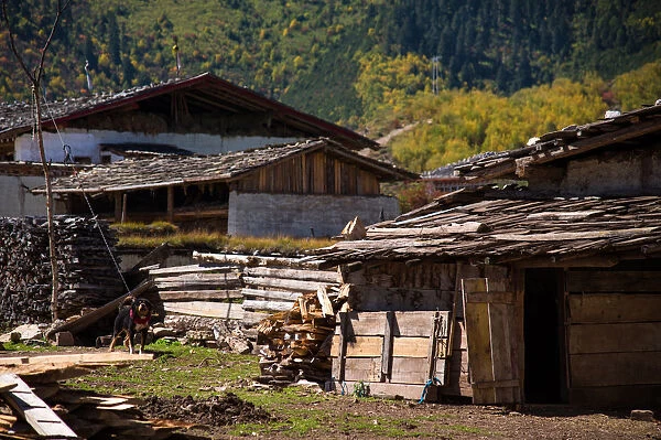 Local tibetan house in Mainland
