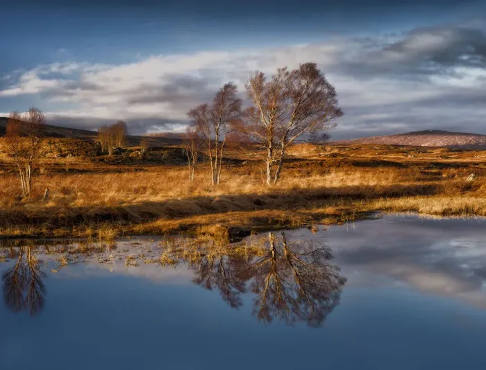 Framed Print : Loch Ba Reflections Framed Print : Loch Ba Reflections