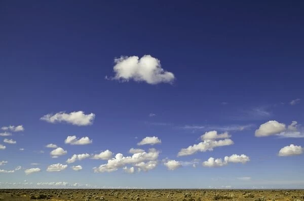 Lofty cumulus clouds, Nullarbor Plain, Australia
