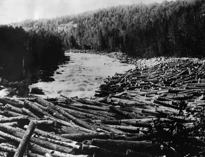 Framed Print : Log Jam In River Framed Print : Log Jam In River