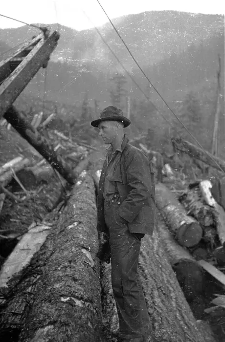 Framed Print : Logger And Logs