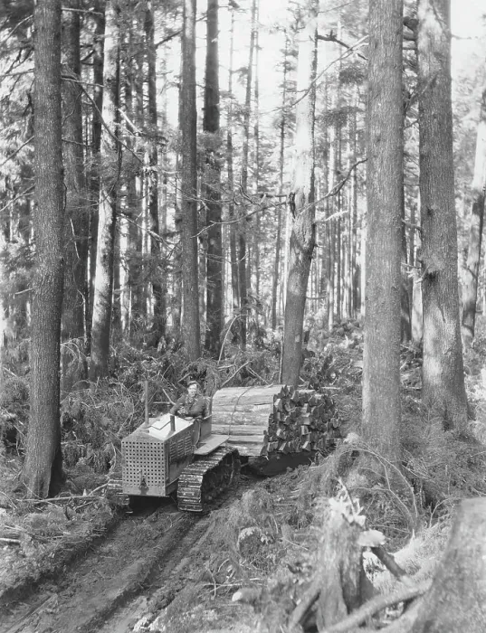 Framed Print : Logging Site In The USA Framed Print : Logging Site In The USA